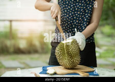 closeup donna mano peeling durian, re di frutta Foto Stock