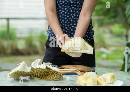 closeup donna mano peeling durian, re di frutta Foto Stock