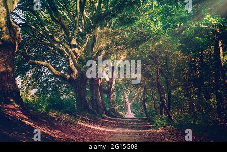 Giardino del Parco del Castello di Borbeck. Un castello barocco ormeggiato nel quartiere di Essen e Oberhauen dall'alto come un panorama. corteccia primo piano. Foto Stock