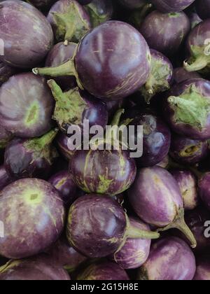 Thai Eggplant è il nome di diverse varietà di melanzane utilizzate nelle cucine del Sud-Est asiatico, più spesso della specie di melanzane Solanum melongena. Foto Stock