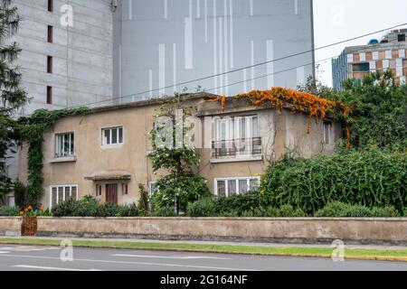 Una vecchia casa coperta di viti e fiori, circondata da moderni edifici alti nel quartiere Miraflores di Lima, Perù Foto Stock