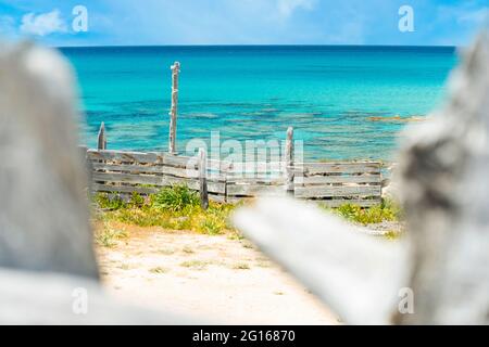 (Fuoco selettivo) splendida vista di una casa in legno abbandonata in primo piano e bellissimo mare turchese sullo sfondo. Sardegna, Italia. Foto Stock