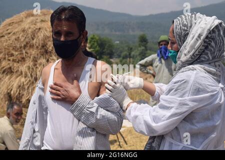 Kashmir, India. 5 giugno 2021. Un operatore sanitario inocula la dose del vaccino COVID19 ad un agricoltore in un'unità speciale per vaccinare gli agricoltori. Credit: Notizie dal vivo di Mmaggioranza del mondo CIC/Alamy Foto Stock