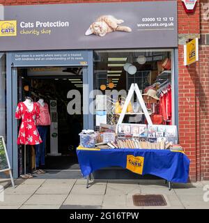 Di fronte al negozio di beneficenza Cats Protection a Cleveleys, Lancashire, Regno Unito Foto Stock