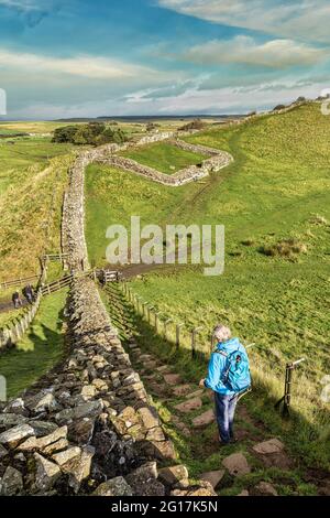 Camminando lungo il sentiero lungo il Muro di Adriano, Inghilterra, Regno Unito Foto Stock