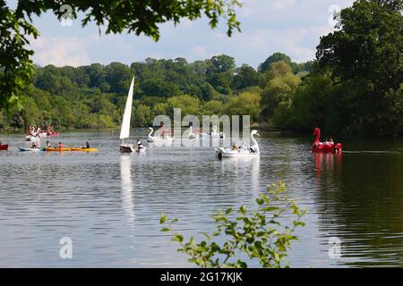 Maidstone, Kent, Regno Unito. 05 Giu 2021. Regno Unito Meteo: Giornata calda e soleggiata nel Mote Park, che si estende su oltre 180 ettari, il parco è liberamente accessibile al pubblico e offre attività come aree giochi per bambini, golf dino, Sky Trail, parete per arrampicata, centro per sport acquatici e centro ricreativo. Lago con pedalo. Photo Credit: Paul Lawrenson /Alamy Live News Foto Stock