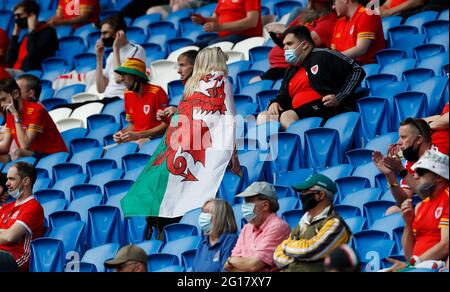 Cardiff, Galles, 5 giugno 2021. Tifosi gallesi nello stadio come parte di un evento di test del governo gallese dopo il blocco Covid19 durante la partita di calcio internazionale amichevole al Cardiff City Stadium, Cardiff. L'immagine di credito dovrebbe essere: Darren Staples / Sportimage Foto Stock