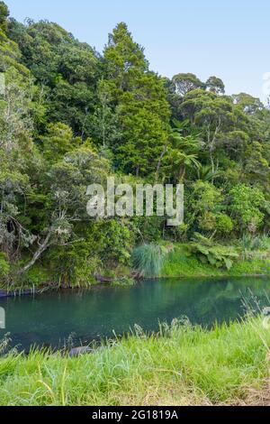 Idilliaco paesaggio naturale sul mare in un fiume nella regione di Auckland, nell'Isola del Nord della Nuova Zelanda Foto Stock