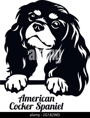 American Cocker Spaniel Peeking Dog - testa isolata su bianco - stock vettoriale Illustrazione Vettoriale