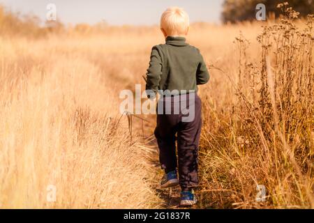 Un uomo in piedi su un campo di erba secca Foto Stock