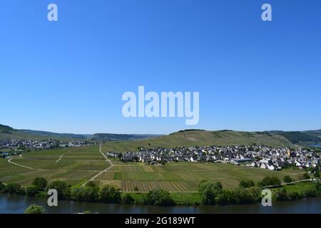 Vigneto paesaggio intorno a Trittenheim, Mosel Foto Stock