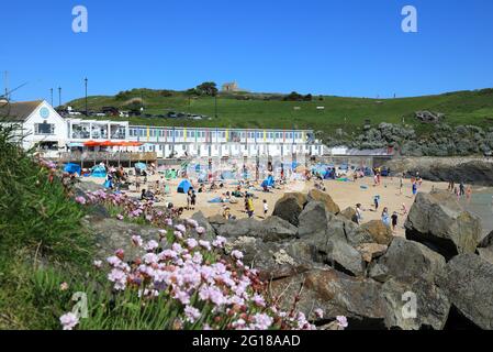 Graziosa spiaggia di Porthgwidden a St Ives, Cornovaglia, Regno Unito Foto Stock