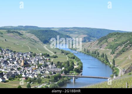 Vigneto paesaggio intorno a Trittenheim, Mosel Foto Stock