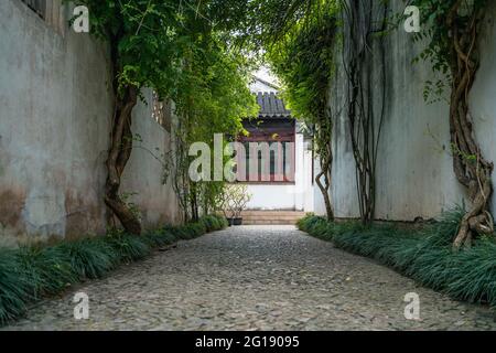 Vista interna del giardino Yipu, un giardino cinese tradizionale e patrimonio dell'umanità dell'UNESCO a Suzhou, Cina. Foto Stock