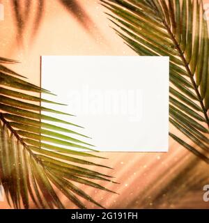 Concetto estivo minimo con foglia di palma. Copyspace creativo con cornice di carta. Layout creativo fatto di foglie tropicali colorate su sfondo bianco. Foto Stock