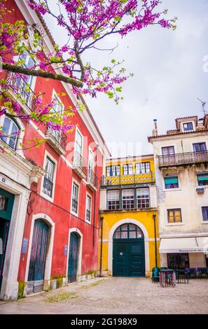 Tipiche case colorate di Alfama a Lisbona, in Portogallo e bougainvillea rosa fiorente. Primavera. Edifici gialli e rossi con porte verdi. Foto Stock