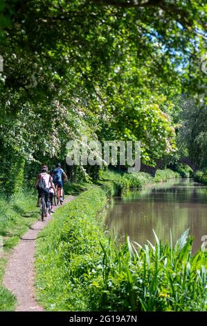 Escursione in bicicletta per famiglie attraverso la campagna inglese lungo il canale in un magnifico sole durante la giornata estiva. Passando tempo nel glorioso giugno. Foto Stock