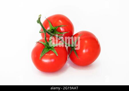 Pomodori. Tre pomodori su un ramo. Pomodori interi, su bianco. Profondità di campo completa. Foto Stock