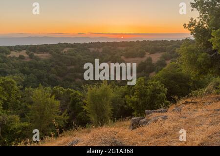 Vista al tramonto del paesaggio vulcanico e del Big Joba (Jupta, cratere dei bui) nella foresta di Odem, le alture del Golan, Israele settentrionale Foto Stock