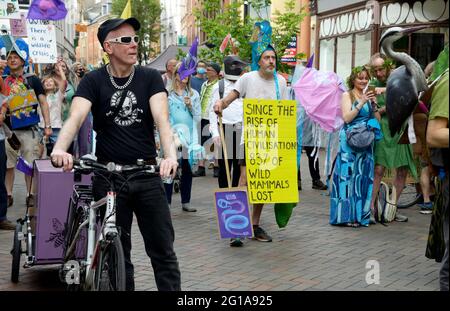 Protesta per l'estinzione della fauna selvatica, Nottingham Foto Stock