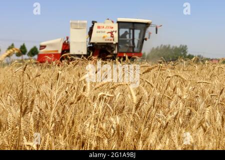 Huaibei, provincia cinese di Anhui. 6 Giugno 2021. La foto mostra una mietitrice di grano al lavoro nel villaggio di Wupu di Sipu Township, Contea di Suixi, Huaibei, provincia di Anhui, nella Cina orientale, 6 giugno 2021. Credit: WAN Shanchao/Xinhua/Alamy Live News Foto Stock