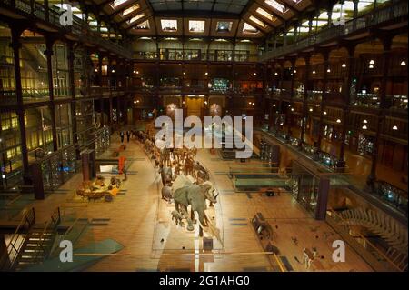 Francia, Parigi, Jardin des Plantes, Grande Galerie de l'Evolution (Galleria dell'evoluzione) Foto Stock