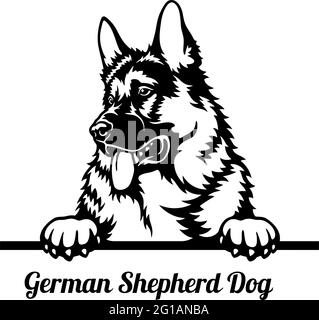 Cane da pastore tedesco cane da Pechino - testa isolata su bianco - stock vettoriale Illustrazione Vettoriale