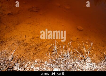 Riva di lago tossico in abbandonato miniera a cielo aperto. Acqua acida rossa ricca di metalli pesanti, piante morte ricoperte da sostanze chimiche Foto Stock