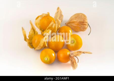 Vista dall'alto del promino dorato dell'uva spina, del Rasbhari, del Physalis peruviana, dei frutti di Groundcherry peruviani disposti su sfondo bianco. Foto Stock