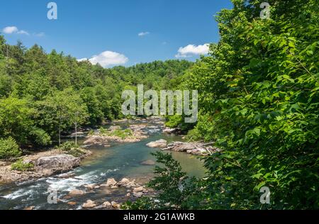 Il fiume scorre attraverso l'Audra state Park vicino a Buckhannon, nella Virginia occidentale Foto Stock