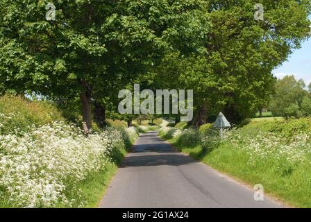 Grotto Lane, Cheshire Foto Stock