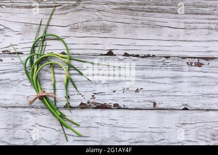 Flatlay di freschi paesaggi di aglio biologico coltivati in casa legati insieme in un fascio su un tavolo bianco rustico in legno con spazio libero per il testo. Foto Stock