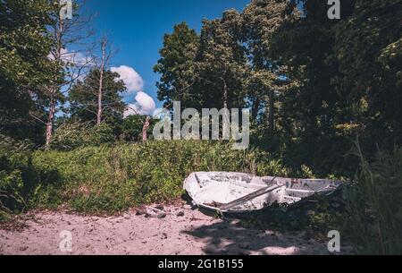 Una sola, relitto, marcio barca da pesca si trova nel mezzo della foresta. Vecchia barca a remi sulla spiaggia del Lago Zarnowitz in estate. Foto Stock