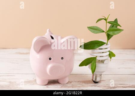 Banco di piggy con lampadina eco su tavolo di legno. Concetto di risparmio energetico. Foto Stock