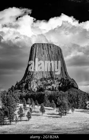 Vista spettacolare della Devils Tower da Joyner Ridge nel Devils Tower National Monument, Wyoming, USA Foto Stock