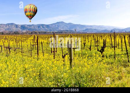 Vigneti della Napa Valley, mongolfiera e mulini a vento con piante di senape Selvatica gialla che crescono in primavera. Foto Stock