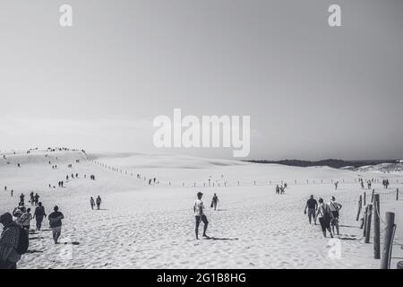 impronte nella sabbia. Poster panoramico di una scena minimalista con impronte nella sabbia nel deserto delle dune sulla costa baltica nella natura di Łeba. Foto Stock