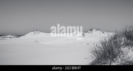 impronte nella sabbia. Poster panoramico di una scena minimalista con impronte nella sabbia nel deserto delle dune sulla costa baltica nella natura di Łeba. Foto Stock