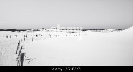 impronte nella sabbia. Poster panoramico di una scena minimalista con impronte nella sabbia nel deserto delle dune sulla costa baltica nella natura di Łeba. Foto Stock