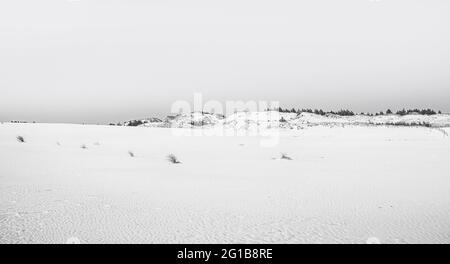 impronte nella sabbia. Poster panoramico di una scena minimalista con impronte nella sabbia nel deserto delle dune sulla costa baltica nella natura di Łeba. Foto Stock