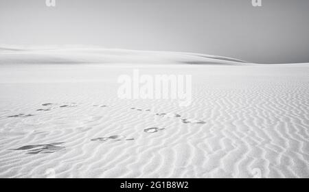 impronte nella sabbia. Poster panoramico di una scena minimalista con impronte nella sabbia nel deserto delle dune sulla costa baltica nella natura di Łeba. Foto Stock