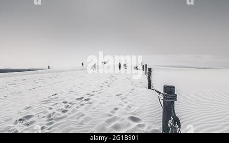 impronte nella sabbia. Poster panoramico di una scena minimalista con impronte nella sabbia nel deserto delle dune sulla costa baltica nella natura di Łeba. Foto Stock