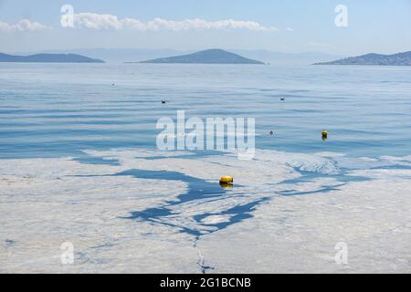 Istanbul, Turchia. 06 giugno 2021. Vista di un mare inquinato da un trenino marino a Kad?köy, Istanbul.Marmara Mare coperto da un trenino marino a Istanbul, Turchia. A causa del riscaldamento globale, la copertura della sostanza simile al muco sta aumentando di giorno in giorno e minaccia l'ambiente e l'industria della pesca. La ragione principale della crescita del pergno marino è la temperatura dell'acqua nel Mar di Marmara che è stata misurata a 2.5 gradi sopra la media degli ultimi 40 anni. Credit: SOPA Images Limited/Alamy Live News Foto Stock