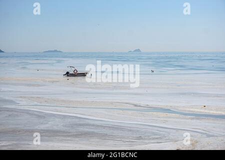 Istanbul, Turchia. 06 giugno 2021. Una barca vista nel mezzo del mare inquinato.Marmara mare coperto da un trenino di mare a Istanbul, Turchia. A causa del riscaldamento globale, la copertura della sostanza simile al muco sta aumentando di giorno in giorno e minaccia l'ambiente e l'industria della pesca. La ragione principale della crescita del pergno marino è la temperatura dell'acqua nel Mar di Marmara che è stata misurata a 2.5 gradi sopra la media degli ultimi 40 anni. Credit: SOPA Images Limited/Alamy Live News Foto Stock