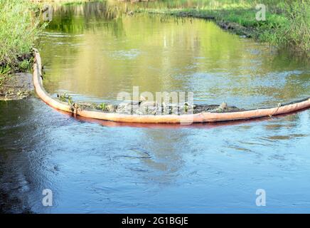 La barriera galleggiante raccoglie i rifiuti di fiume per intrappolare sacchi di plastica, bottiglie e waste.Protection altri di fiumi da rifiuti. Foto Stock