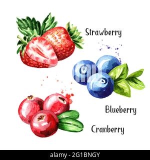 Set di frutti di bosco. Bluebery fresco, mirtillo e fragola con foglie. Illustrazione di acquerello disegnata a mano isolata su sfondo bianco Foto Stock