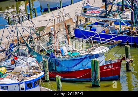 Una barca di gamberetti chiamata Katrina è attraccata accanto ad altre barche di gamberetti nel porto di Biloxi Small Craft, 30 maggio 2021, a Biloxi, Mississippi. Foto Stock