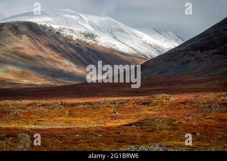 Cime innevate con ombre nuvolose lungo il sentiero Kungsleden a metà settembre, Lapponia, Svezia Foto Stock