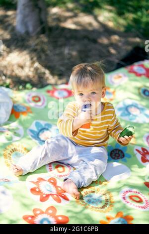 Il bambino si siede su una coperta colorata sull'erba verde, tiene un cetriolo in mano e gnaws un vaso di plastica Foto Stock