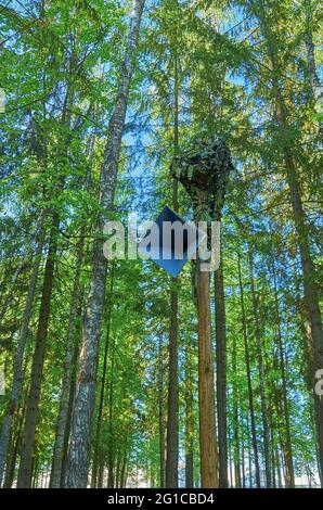 Un vecchio altoparlante pende su un palo con una rete di mimetizzazione nella foresta Foto Stock